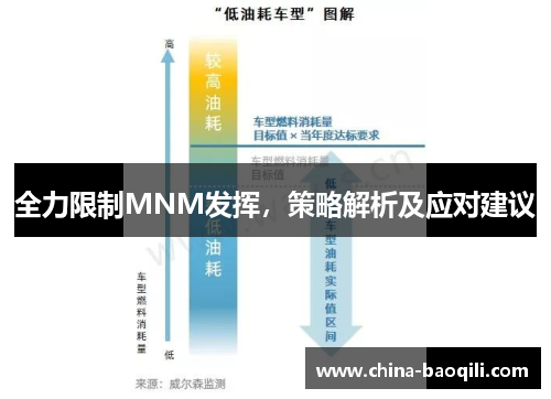 全力限制MNM发挥，策略解析及应对建议